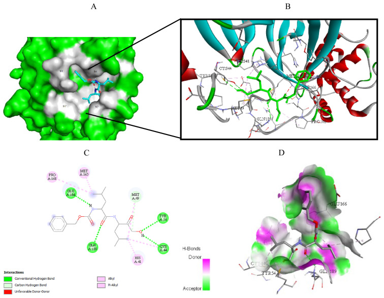 Figure 7