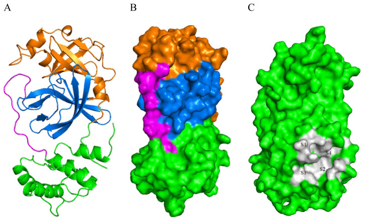 Figure 2