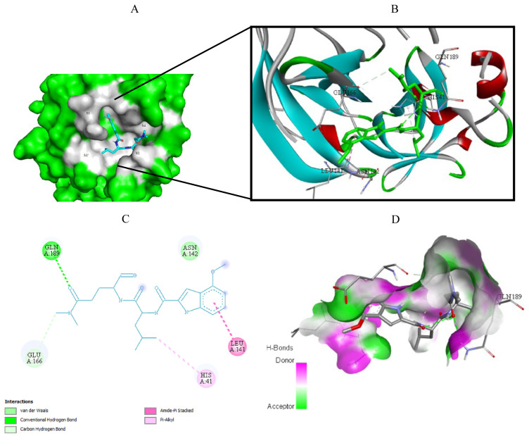 Figure 4