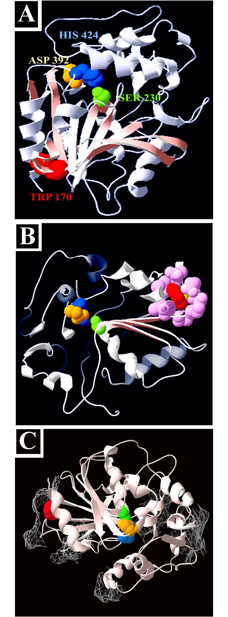 Fig 3