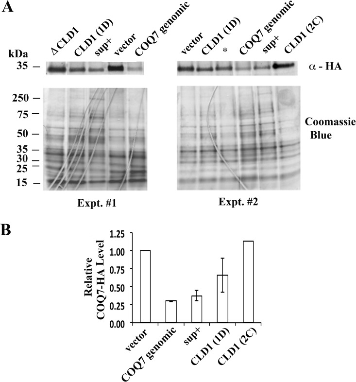 Fig 5