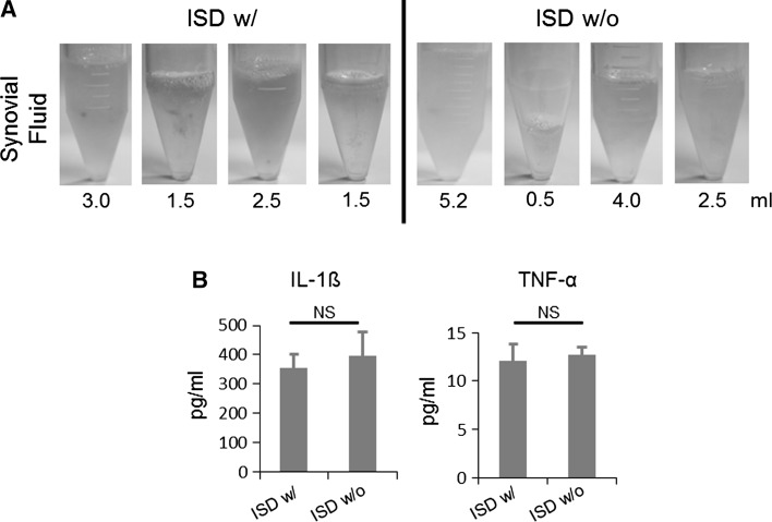 Fig. 4