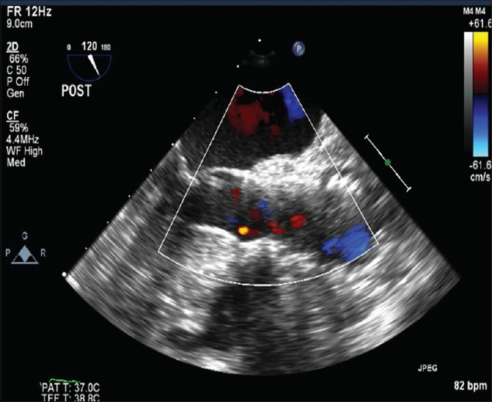 Figure 7