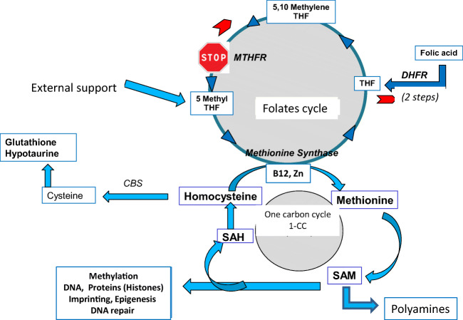 Fig. 2