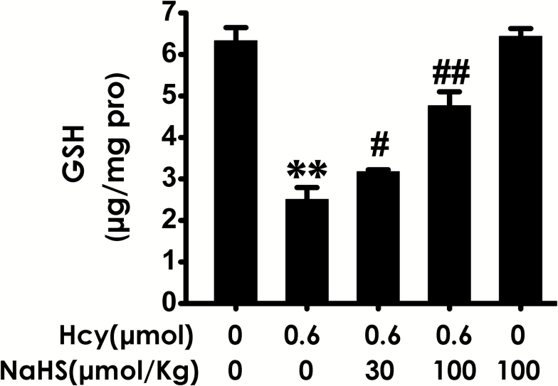 Figure 7.