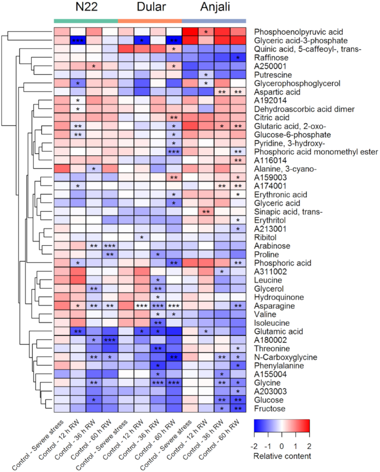 Figure 2: