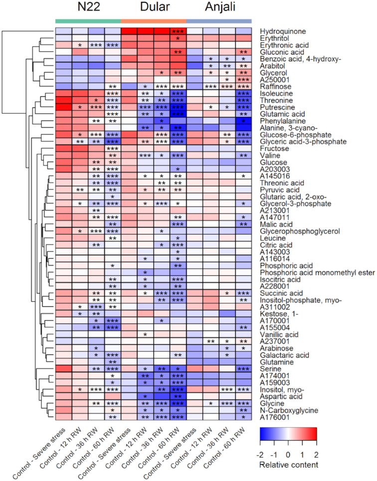 Figure 3: