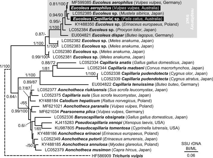 Fig. 7