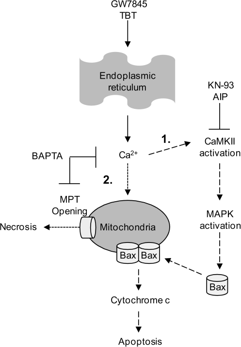 FIG. 7.