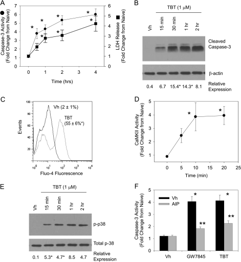 FIG. 6.