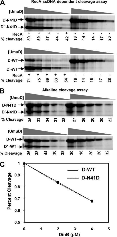 FIGURE 4.