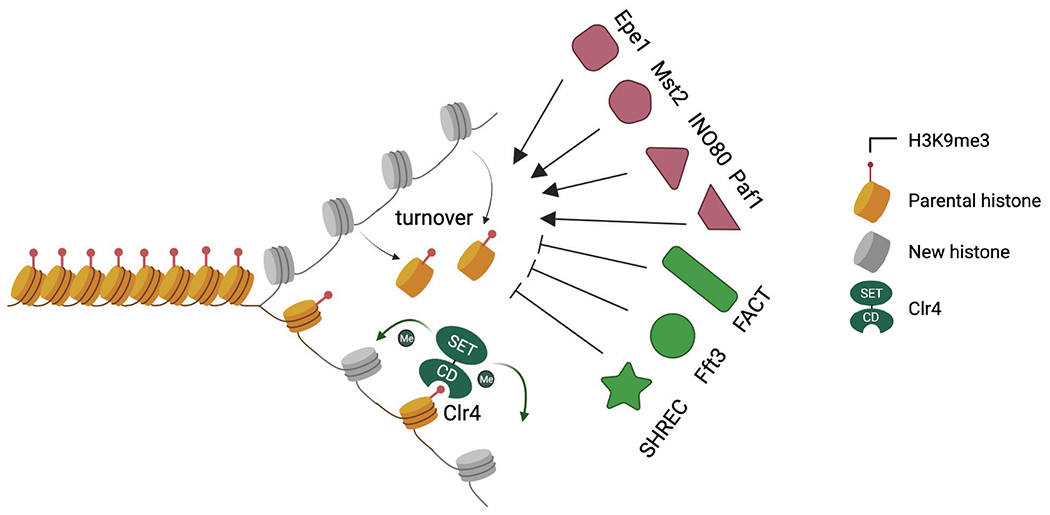 Fig. 3.