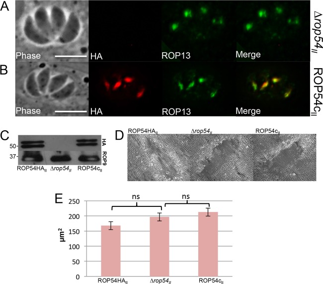 FIG 4 