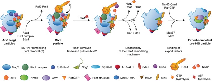 FIGURE 5.