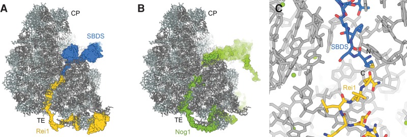 FIGURE 10.