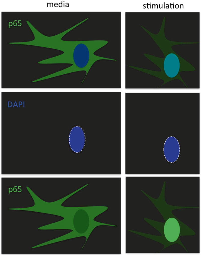 Fig. 5