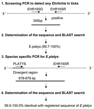 FIG. 1