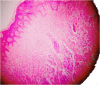 Figure 3: