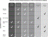 Fig. 3.