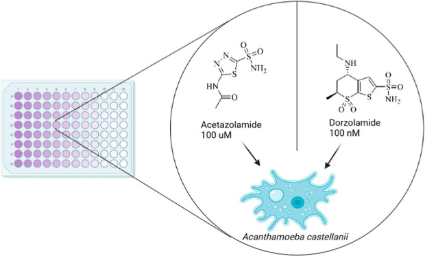 graphic file with name jm3c01020_0010.jpg