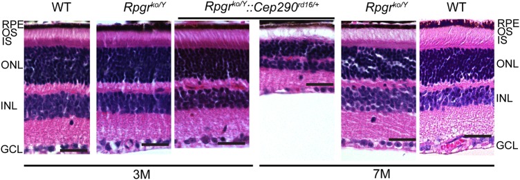 Figure 1.