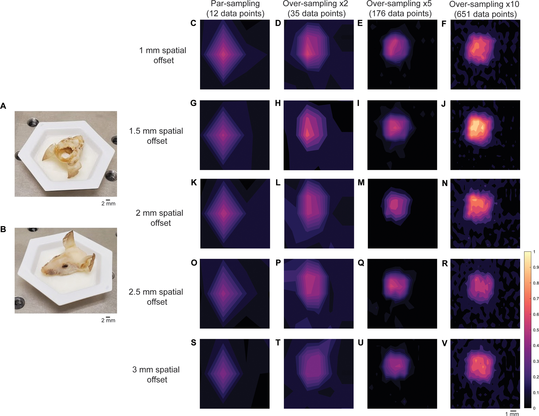 Fig. 4 |