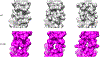 Fig. 3.