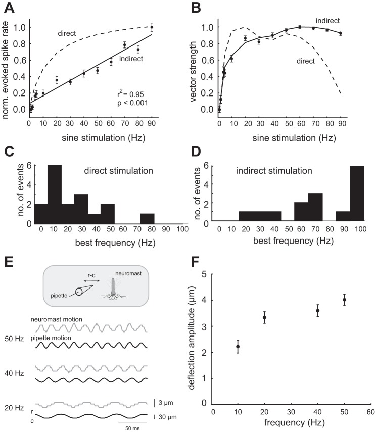 Fig. 10.