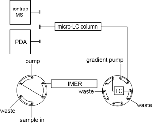 Fig. 2