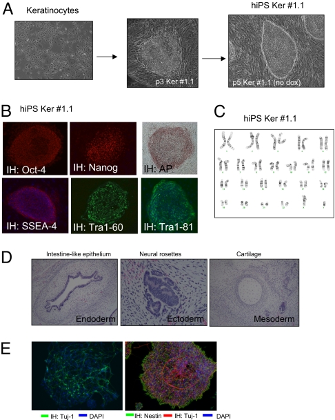 Fig. 4.