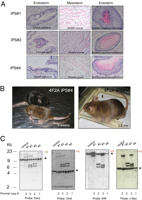 Fig. 3.