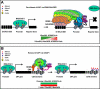 FIGURE 3.