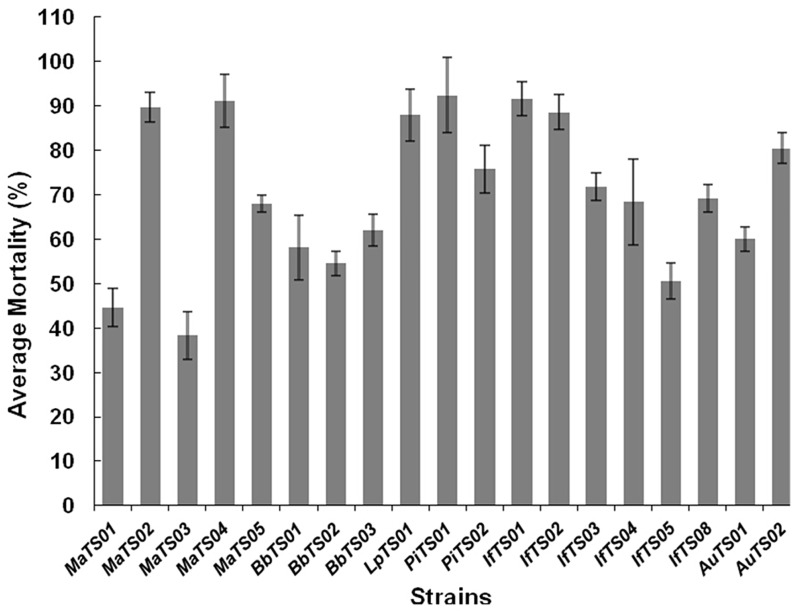 Fig 3