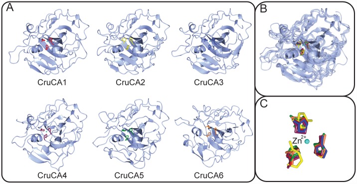 Fig 6