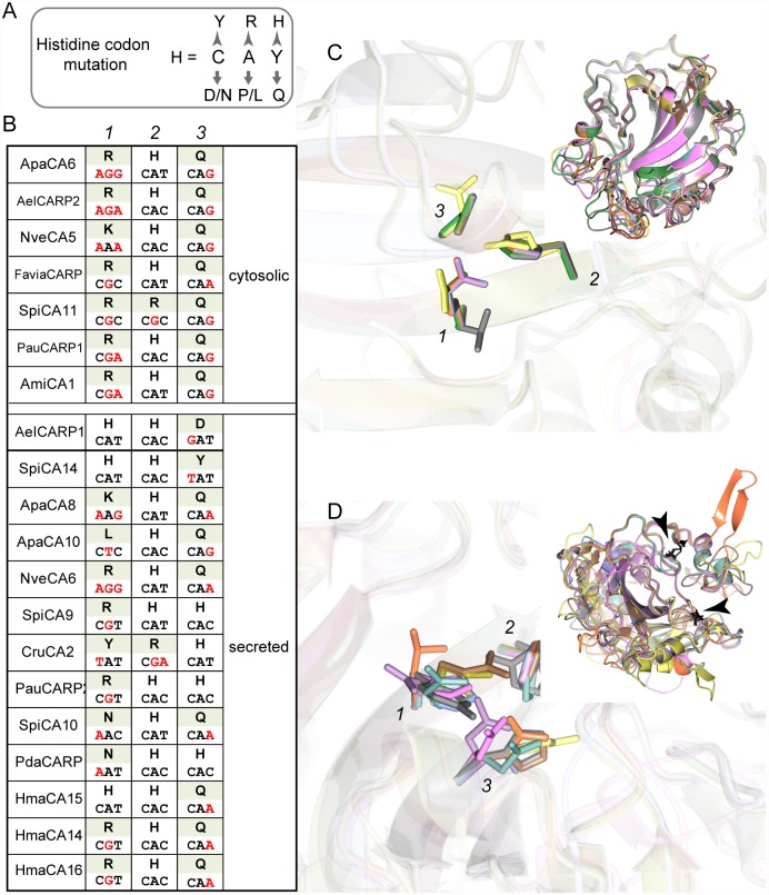 Fig 5