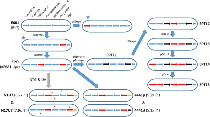 FIGURE 4