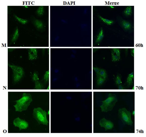 Figure 14