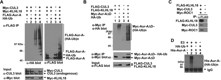 Fig. 8.