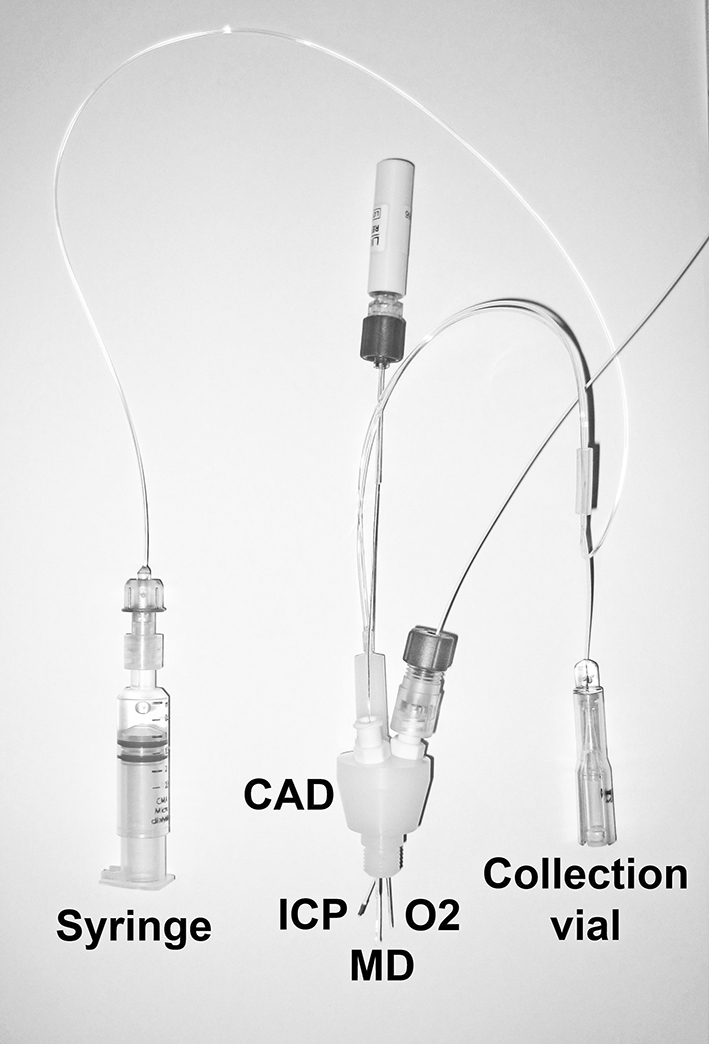 Fig. 3