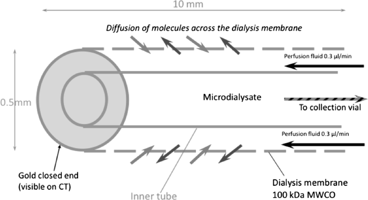 Fig. 2