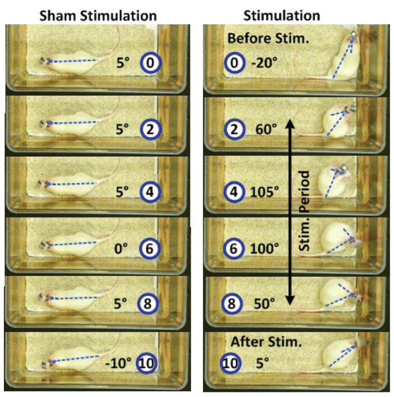 Fig. 16