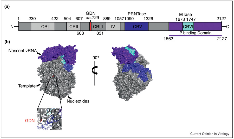 Figure 3: