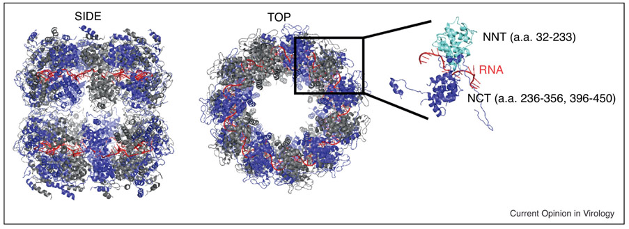 Figure 4: