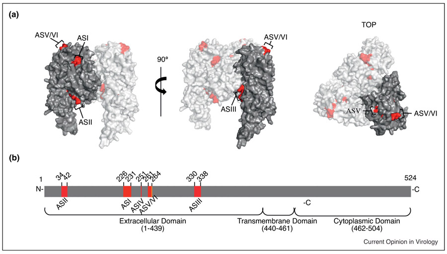 Figure 5: