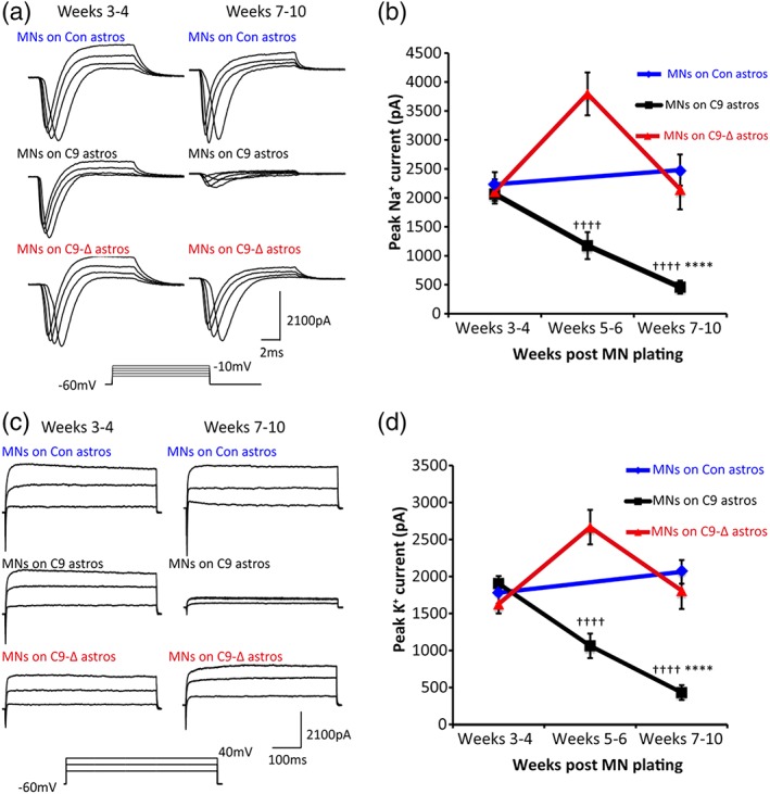 Figure 5