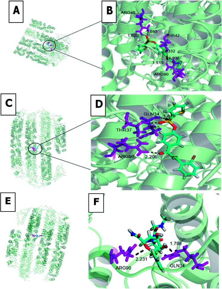 Fig. 4