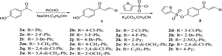 Scheme 1