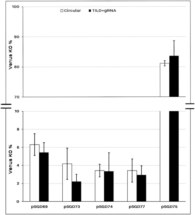 Figure 5