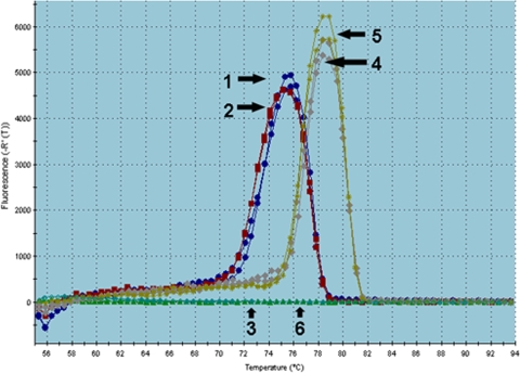 FIG. 4.