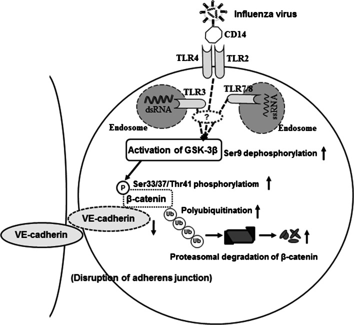 Fig. 7